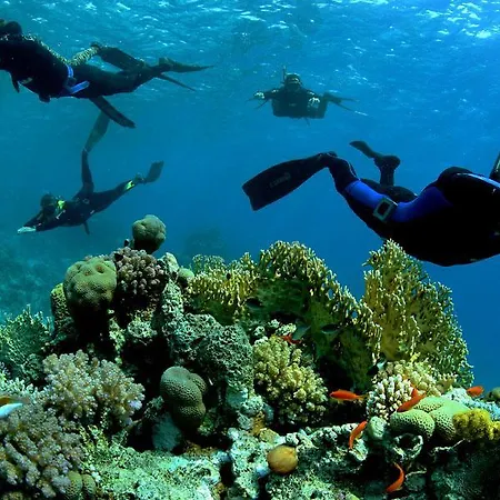 Branca 3* Praia a Mare