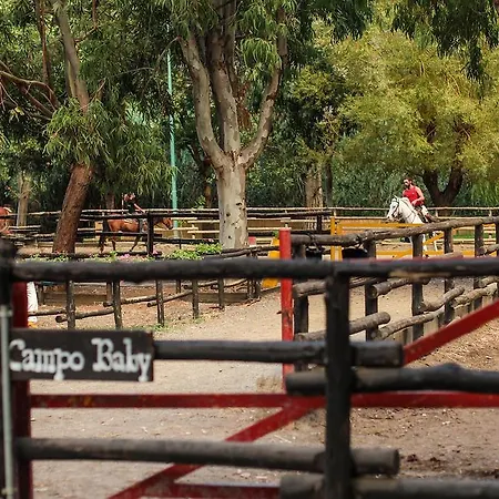 Branca Hotel Praia a Mare