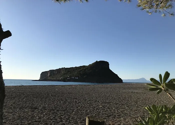 Branca 酒店 普拉亚·阿马勒