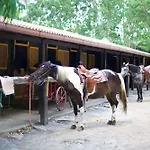 Branca 3*