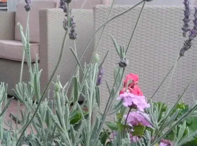 Branca 3* Praia a Mare