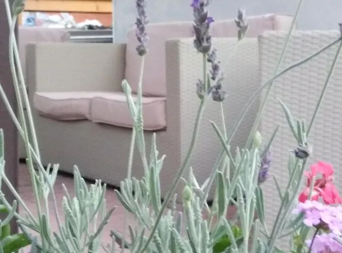 Branca מלון פראייה א מארה