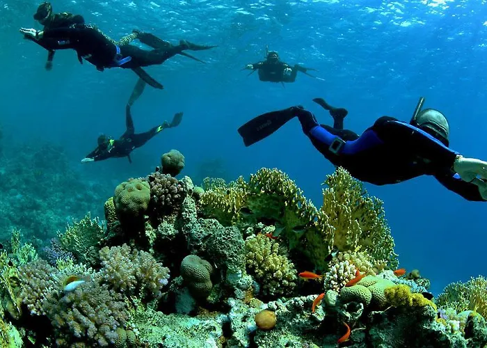 Branca 3* 普拉亚·阿马勒