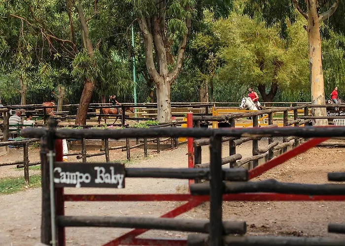 Branca Hotel Praia a Mare